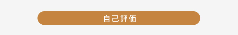 「ろぐ」自己評価